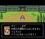 mirandoraex14.png